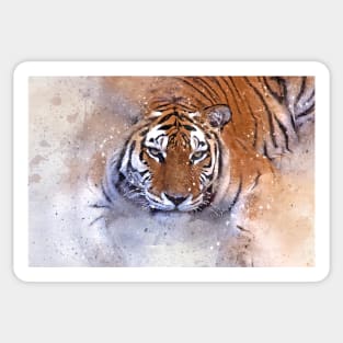 Tiger Wild Animal Safari Africa Jungle Feline Sticker